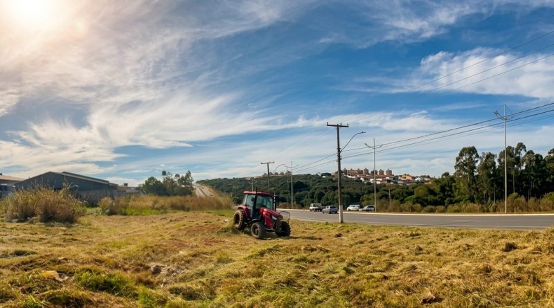 Prefeitura realiza roçagem em lotes e avenidas de diferentes regiões de Senador Canedo